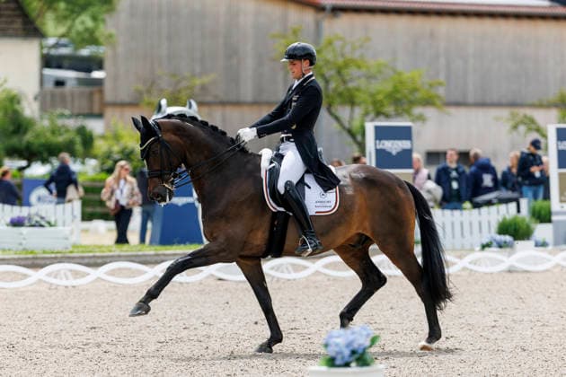 BALVE - LONGINES Balve Optimum 2026, BALVE - LONGINES Balve Optimum 2026 WANDRES Frederic (GER), Bluetooth OLD Grand Prix de Dressage - Qualifikationsprüfung DressurpruÌˆfung Kl. S