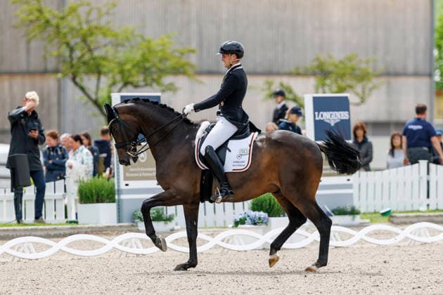 BALVE - LONGINES Balve Optimum 2026, BALVE - LONGINES Balve Optimum 2026 WANDRES Frederic (GER), Bluetooth OLD Grand Prix de Dressage - Qualifikationsprüfung DressurpruÌˆfung Kl. S