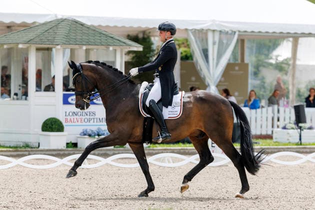 BALVE - LONGINES Balve Optimum 2026, BALVE - LONGINES Balve Optimum 2026 WANDRES Frederic (GER), Bluetooth OLD Grand Prix de Dressage - Qualifikationsprüfung DressurpruÌˆfung Kl. S