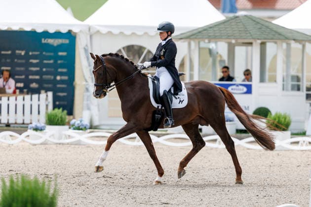 BALVE - LONGINES Balve Optimum 2026, BALVE - LONGINES Balve Optimum 2026 WERTH Isabell (GER), Viva Gold OLD Grand Prix de Dressage - Qualifikationsprüfung DressurpruÌˆfung Kl. S