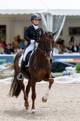 BALVE - LONGINES Balve Optimum 2026, BALVE - LONGINES Balve Optimum 2026 WERTH Isabell (GER), Viva Gold OLD Grand Prix de Dressage - Qualifikationsprüfung DressurpruÌˆfung Kl. S