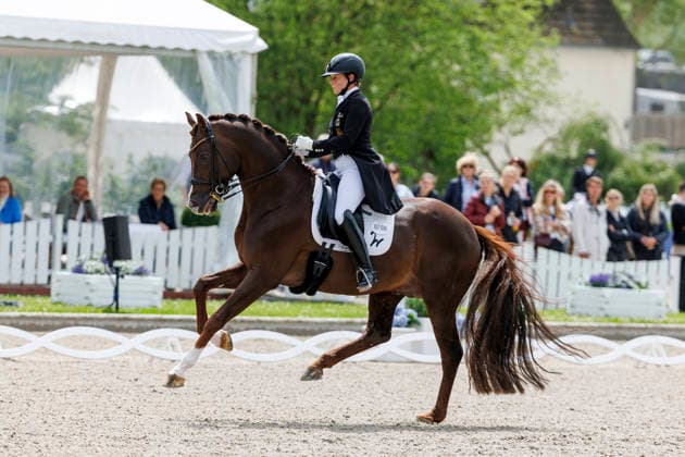 BALVE - LONGINES Balve Optimum 2026, BALVE - LONGINES Balve Optimum 2026 WERTH Isabell (GER), Viva Gold OLD Grand Prix de Dressage - Qualifikationsprüfung DressurpruÌˆfung Kl. S