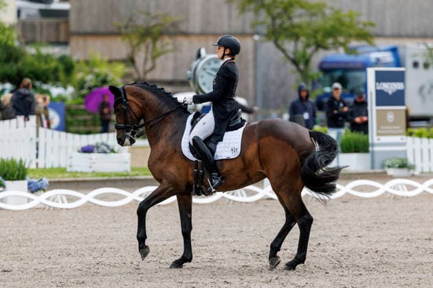 BALVE - LONGINES Balve Optimum 2026, BALVE - LONGINES Balve Optimum 2026 SCHUSTER Katharina (GER), Qence L PIAFF-FOÌˆRDERPREIS Preis der Liselott-Schindling-Stiftung Deutsche Meisterschaften Dressur U25 U25 Intermediare II Balve, Reitanlage Schloss Wocklum 04. June 2026 -