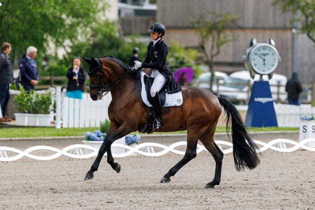 BALVE - LONGINES Balve Optimum 2026, BALVE - LONGINES Balve Optimum 2026 SCHUSTER Katharina (GER), Qence L PIAFF-FOÌˆRDERPREIS Preis der Liselott-Schindling-Stiftung Deutsche Meisterschaften Dressur U25 U25 Intermediare II Balve, Reitanlage Schloss Wocklum 04. June 2026 -