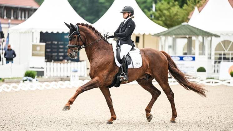 Balve Optimum am Freitag, 5. Juni 2026 ** NUR FÜR REDAKTIONELLE ZWECKE ** EDITORIAL USE ONLY **<p>Helen Schildhauer auf Vulkan Vegas IBbeim Preis der 360 Grad Sportpferde Deutsche Meisterschaften Para Dressur Grad IV und V am Freitag, 5. Juni 2026 beim Balve Optimum in Balve. . Copyright: SvenjaxHanusch