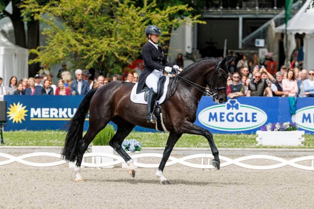 BALVE - LONGINES Balve Optimum 2026, BALVE - LONGINES Balve Optimum 2026 WERTH Isabell (GER), Wendy de Fontaine Deutsche Meisterschaften Dressur Grand Prix Special 2026 Dressurprüfung Kl.S