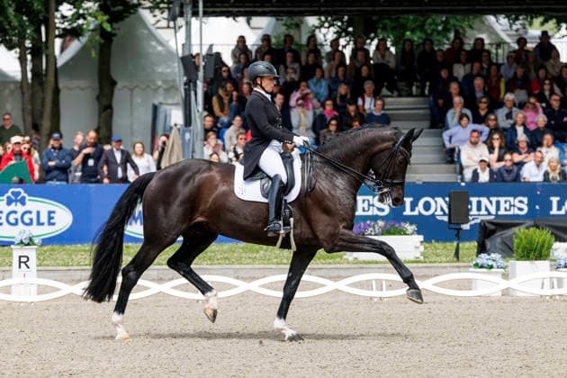 BALVE - LONGINES Balve Optimum 2026, BALVE - LONGINES Balve Optimum 2026 WERTH Isabell (GER), Wendy de Fontaine Deutsche Meisterschaften Dressur Grand Prix Special 2026 Dressurprüfung Kl.S