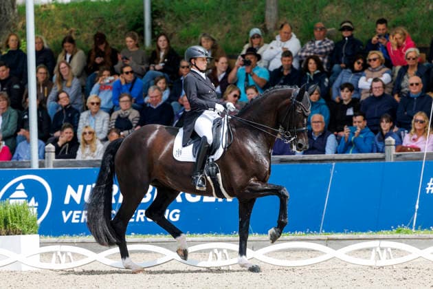 BALVE - LONGINES Balve Optimum 2026, BALVE - LONGINES Balve Optimum 2026 WERTH Isabell (GER), Wendy de Fontaine Deutsche Meisterschaften Dressur Grand Prix Special 2026 Dressurprüfung Kl.S