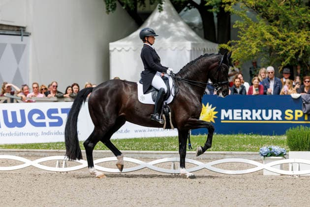 BALVE - LONGINES Balve Optimum 2026, BALVE - LONGINES Balve Optimum 2026 WERTH Isabell (GER), Wendy de Fontaine Deutsche Meisterschaften Dressur Grand Prix Special 2026 Dressurprüfung Kl.S