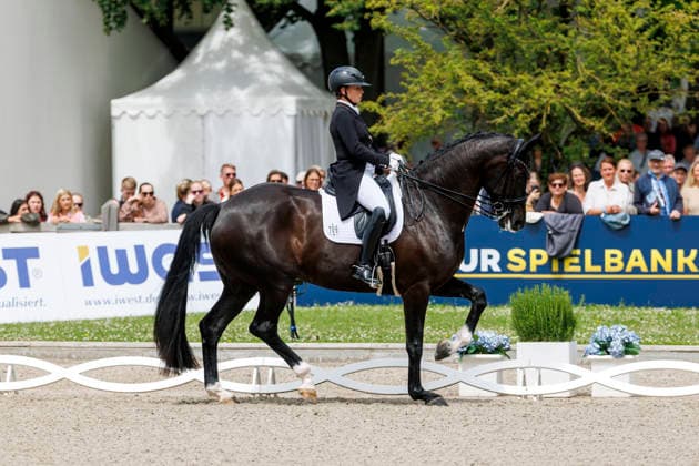 BALVE - LONGINES Balve Optimum 2026, BALVE - LONGINES Balve Optimum 2026 WERTH Isabell (GER), Wendy de Fontaine Deutsche Meisterschaften Dressur Grand Prix Special 2026 Dressurprüfung Kl.S