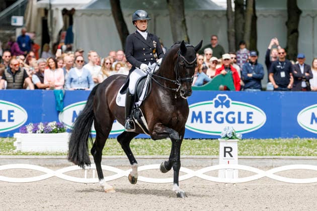 BALVE - LONGINES Balve Optimum 2026, BALVE - LONGINES Balve Optimum 2026 WERTH Isabell (GER), Wendy de Fontaine Deutsche Meisterschaften Dressur Grand Prix Special 2026 Dressurprüfung Kl.S