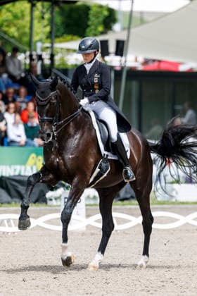 BALVE - LONGINES Balve Optimum 2026, BALVE - LONGINES Balve Optimum 2026 WERTH Isabell (GER), Wendy de Fontaine Deutsche Meisterschaften Dressur Grand Prix Special 2026 Dressurprüfung Kl.S