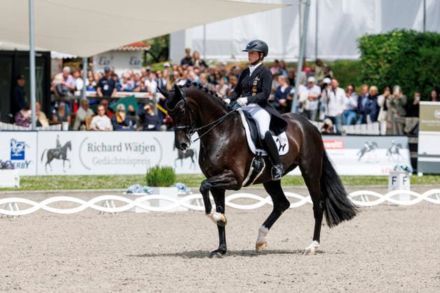 BALVE - LONGINES Balve Optimum 2026, BALVE - LONGINES Balve Optimum 2026 WERTH Isabell (GER), Wendy de Fontaine Deutsche Meisterschaften Dressur Grand Prix Special 2026 Dressurprüfung Kl.S