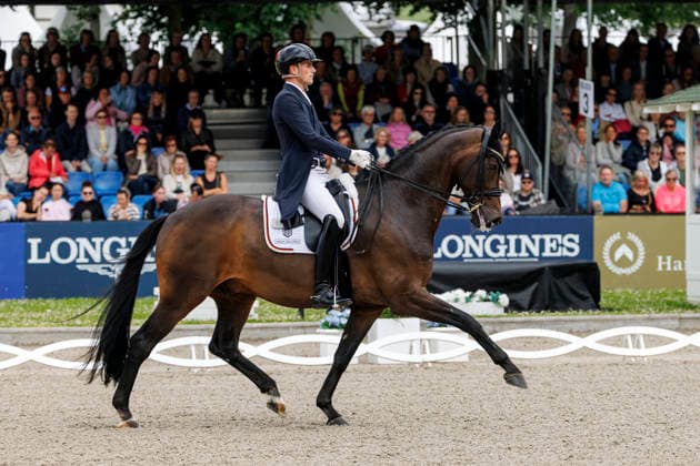 BALVE - LONGINES Balve Optimum 2026, BALVE - LONGINES Balve Optimum 2026 WANDRES Frederic (GER), Bluetooth OLD Deutsche Meisterschaften Dressur Grand Prix Special 2026 Dressurprüfung Kl.S