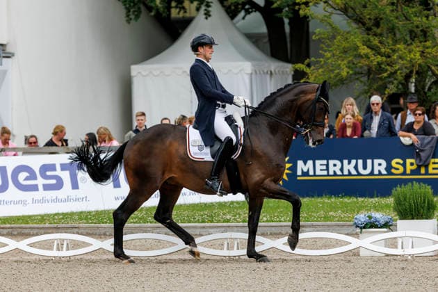 BALVE - LONGINES Balve Optimum 2026, BALVE - LONGINES Balve Optimum 2026 WANDRES Frederic (GER), Bluetooth OLD Deutsche Meisterschaften Dressur Grand Prix Special 2026 Dressurprüfung Kl.S