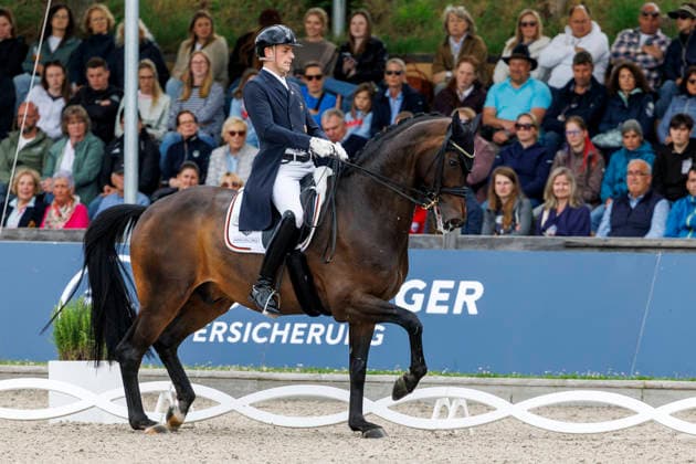 BALVE - LONGINES Balve Optimum 2026, BALVE - LONGINES Balve Optimum 2026 WANDRES Frederic (GER), Bluetooth OLD Deutsche Meisterschaften Dressur Grand Prix Special 2026 Dressurprüfung Kl.S