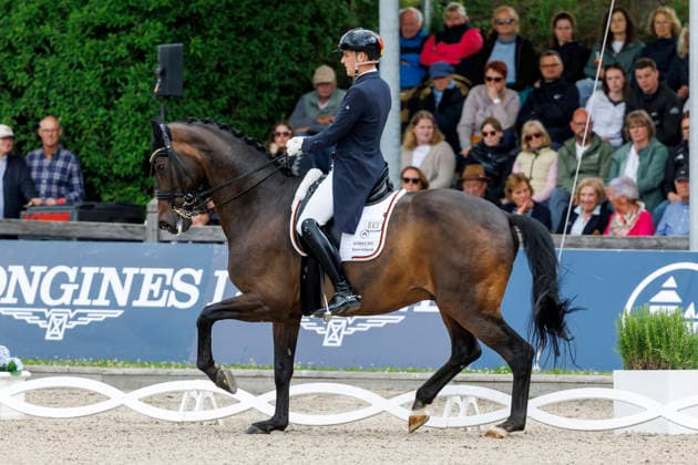 BALVE - LONGINES Balve Optimum 2026, BALVE - LONGINES Balve Optimum 2026 WANDRES Frederic (GER), Bluetooth OLD Deutsche Meisterschaften Dressur Grand Prix Special 2026 Dressurprüfung Kl.S