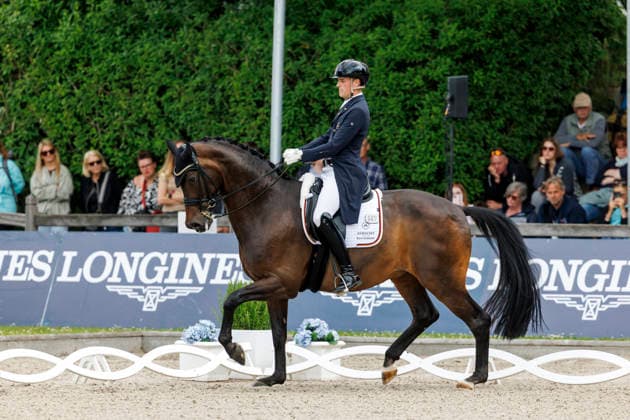 BALVE - LONGINES Balve Optimum 2026, BALVE - LONGINES Balve Optimum 2026 WANDRES Frederic (GER), Bluetooth OLD Deutsche Meisterschaften Dressur Grand Prix Special 2026 Dressurprüfung Kl.S
