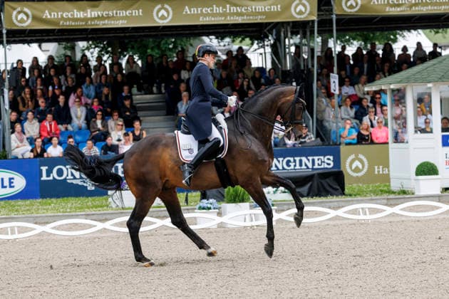 BALVE - LONGINES Balve Optimum 2026, BALVE - LONGINES Balve Optimum 2026 WANDRES Frederic (GER), Bluetooth OLD Deutsche Meisterschaften Dressur Grand Prix Special 2026 Dressurprüfung Kl.S