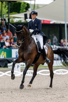 BALVE - LONGINES Balve Optimum 2026, BALVE - LONGINES Balve Optimum 2026 WANDRES Frederic (GER), Bluetooth OLD Deutsche Meisterschaften Dressur Grand Prix Special 2026 Dressurprüfung Kl.S