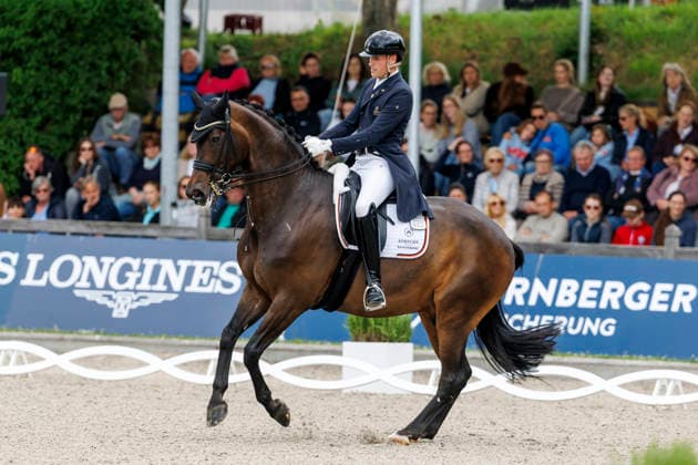 BALVE - LONGINES Balve Optimum 2026, BALVE - LONGINES Balve Optimum 2026 WANDRES Frederic (GER), Bluetooth OLD Deutsche Meisterschaften Dressur Grand Prix Special 2026 Dressurprüfung Kl.S