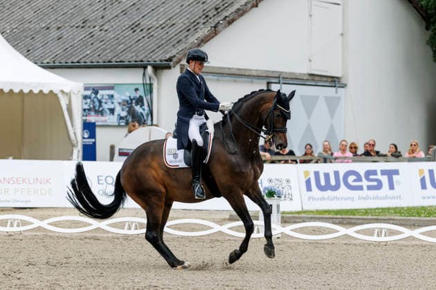 BALVE - LONGINES Balve Optimum 2026, BALVE - LONGINES Balve Optimum 2026 WANDRES Frederic (GER), Bluetooth OLD Deutsche Meisterschaften Dressur Grand Prix Special 2026 Dressurprüfung Kl.S