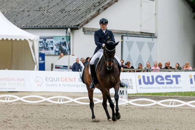 BALVE - LONGINES Balve Optimum 2026, BALVE - LONGINES Balve Optimum 2026 WANDRES Frederic (GER), Bluetooth OLD Deutsche Meisterschaften Dressur Grand Prix Special 2026 Dressurprüfung Kl.S