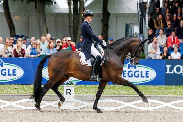 BALVE - LONGINES Balve Optimum 2026, BALVE - LONGINES Balve Optimum 2026 WANDRES Frederic (GER), Bluetooth OLD Deutsche Meisterschaften Dressur Grand Prix Special 2026 Dressurprüfung Kl.S
