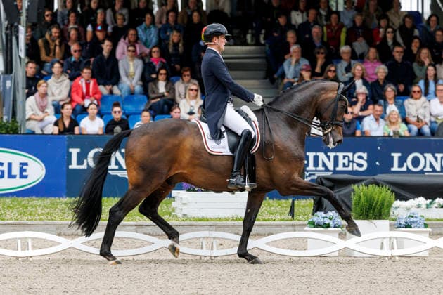 BALVE - LONGINES Balve Optimum 2026, BALVE - LONGINES Balve Optimum 2026 WANDRES Frederic (GER), Bluetooth OLD Deutsche Meisterschaften Dressur Grand Prix Special 2026 Dressurprüfung Kl.S