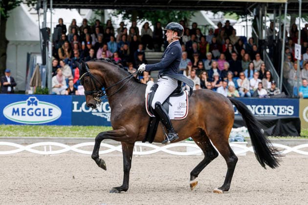 BALVE - LONGINES Balve Optimum 2026, BALVE - LONGINES Balve Optimum 2026 WANDRES Frederic (GER), Bluetooth OLD Deutsche Meisterschaften Dressur Grand Prix Special 2026 Dressurprüfung Kl.S
