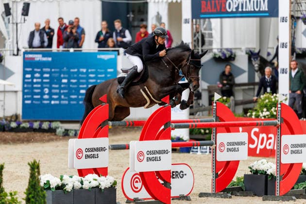 BALVE - LONGINES Balve Optimum 2026, BALVE - LONGINES Balve Optimum 2026 LAHMANN Daniel (GER), Chess vd Berghoeve Z CHAMPIONAT VON BALVE präsentiert von E-Holding GmbH, Wocklum Gruppe und Paul Müller GmbH Int. Springprüfung mit Stechen (1.45 m) DIETER GRAF LANDSBERG-VELEN GEDÄCHTNISPREIS Balve, Reitanlage Schloss Wocklum 06. June 2026 -