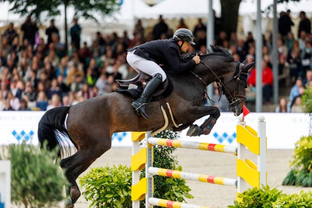 BALVE - LONGINES Balve Optimum 2026, BALVE - LONGINES Balve Optimum 2026 LAHMANN Daniel (GER), Chess vd Berghoeve Z CHAMPIONAT VON BALVE präsentiert von E-Holding GmbH, Wocklum Gruppe und Paul Müller GmbH Int. Springprüfung mit Stechen (1.45 m) DIETER GRAF LANDSBERG-VELEN GEDÄCHTNISPREIS Balve, Reitanlage Schloss Wocklum 06. June 2026 -