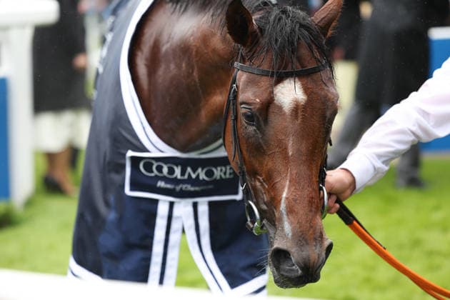 Bay City Roller (J. Oisin Murphy T. George Scott) wins the Coolmore Coronation Cup during The Derby Meeting at Epsom Racecourse, Epsom, UK on 6 June 2026. Copyright: xKenxSparksx 45050074