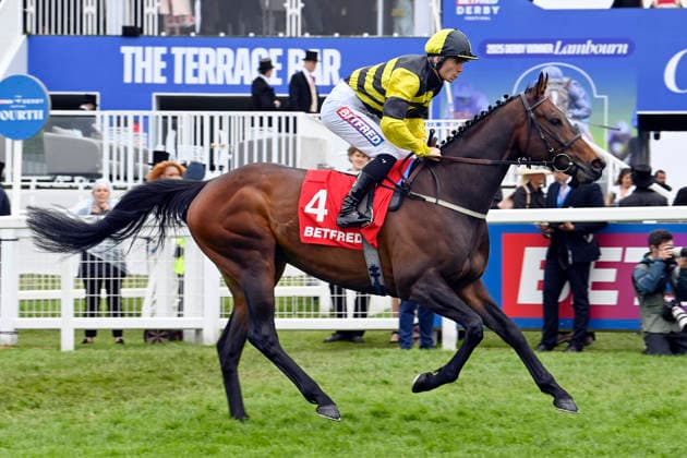 06.06.2026, Epsom, Surrey, GBR - Golden Mind with Billy Garritty. Epsom Downs racecourse. (Pferd, Jockey, Golden Mind, Garritty, Aufgalopp) 260606C700EPSOM.JPG