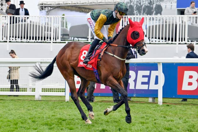 06.06.2026, Epsom, Surrey, GBR - Witness Stand with Billy Loughnane. Epsom Downs racecourse. (Pferd, Jockey, Witness Stand, Loughnane, Aufgalopp) 260606C701EPSOM.JPG