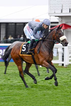 06.06.2026, Epsom, Surrey, GBR - Love Dynasty with Billy Loughnane. Epsom Downs racecourse. (Pferd, Jockey, Love Dynasty, Loughnane, Aufgalopp) 260606C703EPSOM.JPG