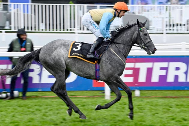 06.06.2026, Epsom, Surrey, GBR - Betty Clover with Charles Bishop. Epsom Downs racecourse. (Pferd, Jockey, Betty Clover, Bishop, Aufgalopp) 260606C704EPSOM.JPG