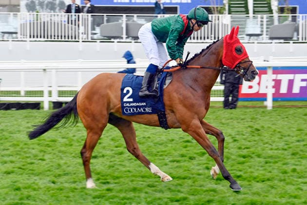 06.06.2026, Epsom, Surrey, GBR - Calandagan with Mickael Barzalona. Epsom Downs racecourse. (Pferd, Jockey, Calandagan, Barzalona, Aufgalopp) 260606C707EPSOM.JPG