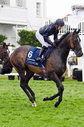 06.06.2026, Epsom, Surrey, GBR - Lambourn with Wayne Lordan. Epsom Downs racecourse. (Pferd, Jockey, Lambourn, Lordan, Aufgalopp) 260606C708EPSOM.JPG