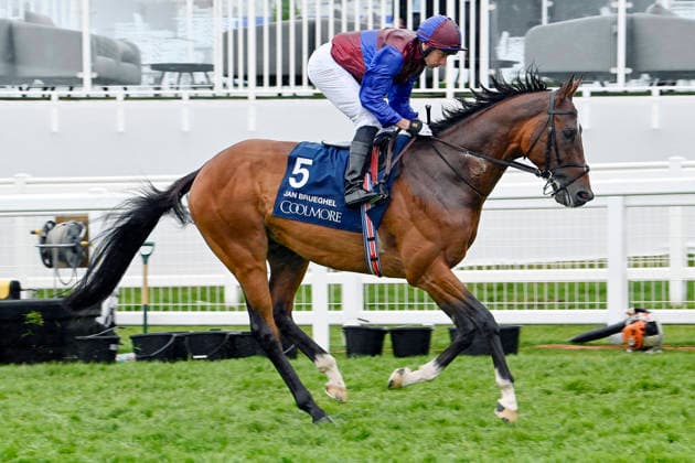 06.06.2026, Epsom, Surrey, GBR - Jan Brueghel with Ryan Moore. Epsom Downs racecourse. (Pferd, Jockey, Jan Brueghel, Moore, Aufgalopp) 260606C709EPSOM.JPG