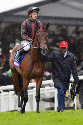 06.06.2026, Epsom, Surrey, GBR - Maltese Cross with Tom Marquand. Epsom Downs racecourse. (Pferd, Jockey, Maltese Cross, Marquand) 260606C717EPSOM.JPG