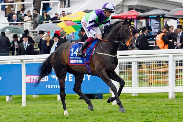 06.06.2026, Epsom, Surrey, GBR - Rebel Rocker with Rob Hornby. Epsom Downs racecourse. (Pferd, Jockey, Rebel Rocker, Hornby, Aufgalopp) 260606C718EPSOM.JPG