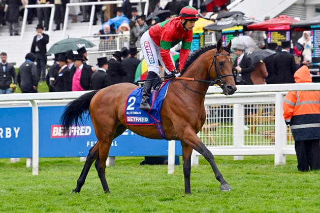 06.06.2026, Epsom, Surrey, GBR - Alderman with Pat Dobbs. Epsom Downs racecourse. (Pferd, Jockey, Alderman, Dobbs, Aufgalopp) 260606C720EPSOM.JPG