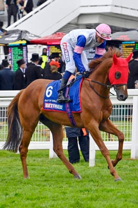 06.06.2026, Epsom, Surrey, GBR - Bay of Brilliance with Hector Crouch. Epsom Downs racecourse. (Pferd, Jockey, Bay of Brilliance, Crouch, Aufgalopp) 260606C725EPSOM.JPG