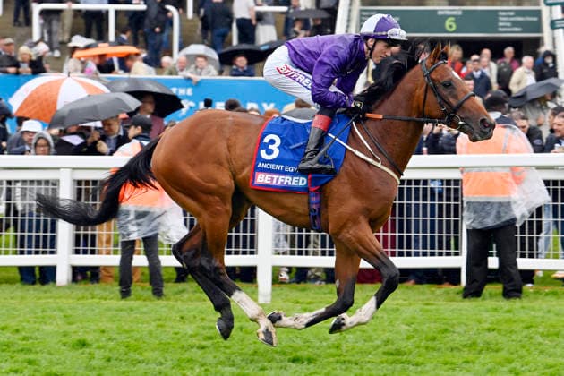 06.06.2026, Epsom, Surrey, GBR - Ancient Egypt with David Egan. Epsom Downs racecourse. (Pferd, Jockey, Ancient Egypt, Egan, Aufgalopp) 260606C726EPSOM.JPG