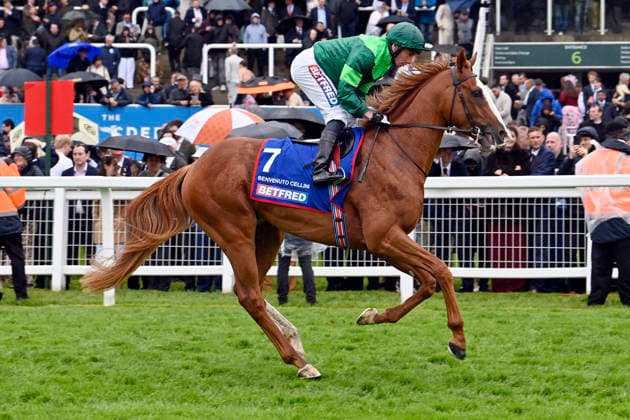 06.06.2026, Epsom, Surrey, GBR - Benvenuto Cellini with Ryan Moore. Epsom Downs racecourse. (Pferd, Jockey, Benvenuto, Moore, Aufgalopp) 260606C728EPSOM.JPG