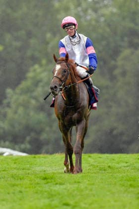 06.06.2026, Epsom, Surrey, GBR - Bay of Brilliance with Hector Crouch. Epsom Downs racecourse. (Pferd, Jockey, Bay of Brilliance, Crouch) 260606C731EPSOM.JPG