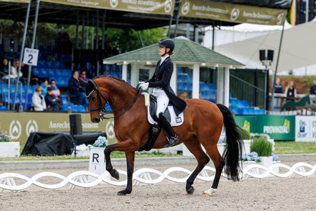 BALVE - LONGINES Balve Optimum 2026, BALVE - LONGINES Balve Optimum 2026 BAUMGUERTEL Lucie-Anouk (GER), ZINQ First Vienna FH FRH Dressurprüfung Kl. S