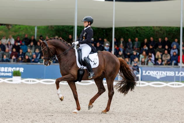 BALVE - LONGINES Balve Optimum 2026, BALVE - LONGINES Balve Optimum 2026 WERTH Isabell (GER), Viva Gold OLD Deutsche Meisterschaften Dressur Grand Prix Kür 2026 - Grand Prix Kür Freestyle LONGINES GROSSER OPTIMUM PREIS 2026 präsentiert von der MEGGLE Group GmbH Dressurprüfung Kl.S