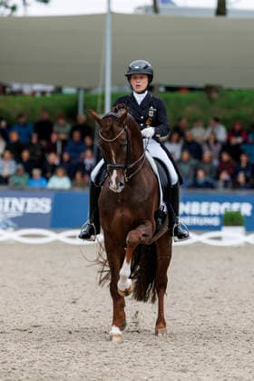 BALVE - LONGINES Balve Optimum 2026, BALVE - LONGINES Balve Optimum 2026 WERTH Isabell (GER), Viva Gold OLD Deutsche Meisterschaften Dressur Grand Prix Kür 2026 - Grand Prix Kür Freestyle LONGINES GROSSER OPTIMUM PREIS 2026 präsentiert von der MEGGLE Group GmbH Dressurprüfung Kl.S